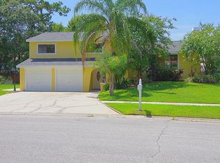 4705 Windflower Cir, Tampa, FL 33624