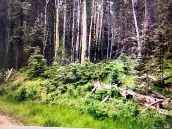 00 Drexler Place LOT 2995, Fort Garland, CO 81133