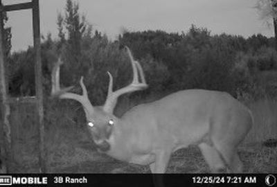 815 County Road 2080, Lometa, TX, 76853