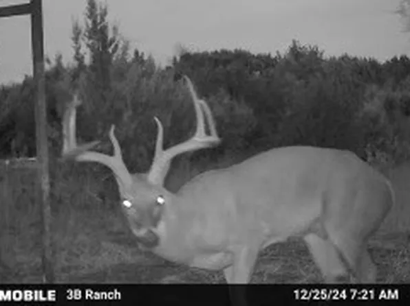 815 County Road 2080, Lometa, TX 76853