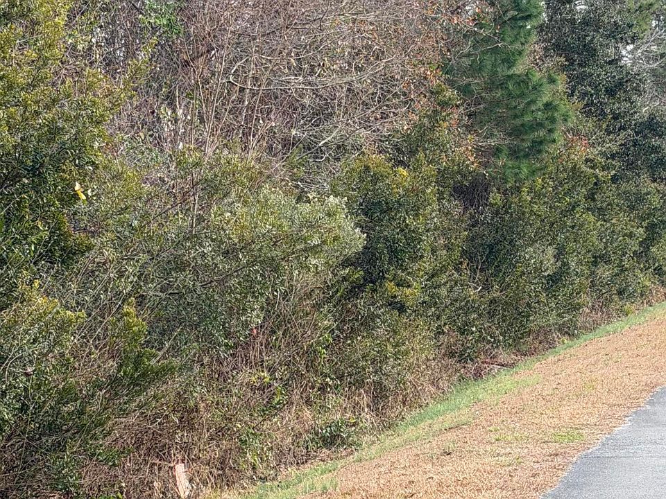 2nd image of 0 Joans Haven Drive LOT 5