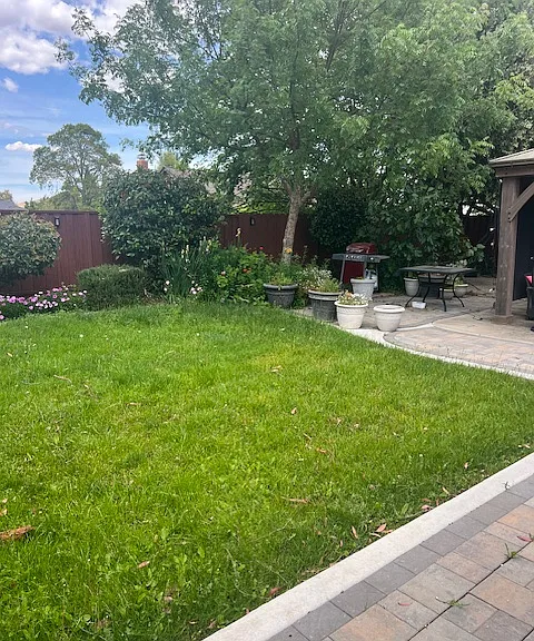 4334 Oleander St — Photo 26
