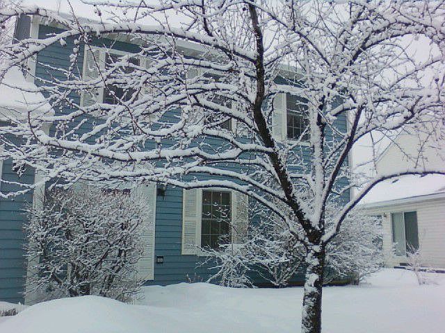 Winter 2010
