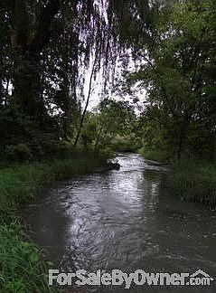 The creek