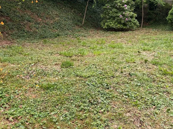 Lilac St, Asheville, NC 28806