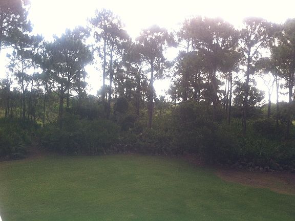 View from balcony in back