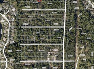 Chase Ct LOT 60, Mount Dora, FL 32757