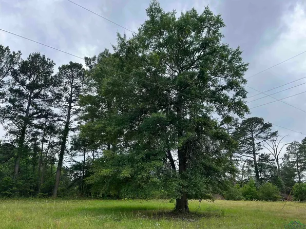 13 Dalton Cir, Marshall, TX 75670