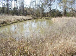 197 Barberry Rd, Hemingway, SC 29554