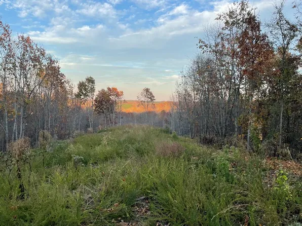 88 Overlook Ln, Stewart, TN 37175