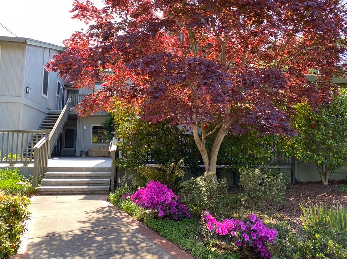 Lovely landscapes - 1160 Pine St #E