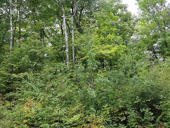 3rd image of 468XX Sugarbush Cir