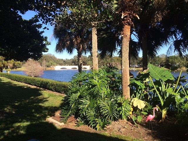 View of Lake