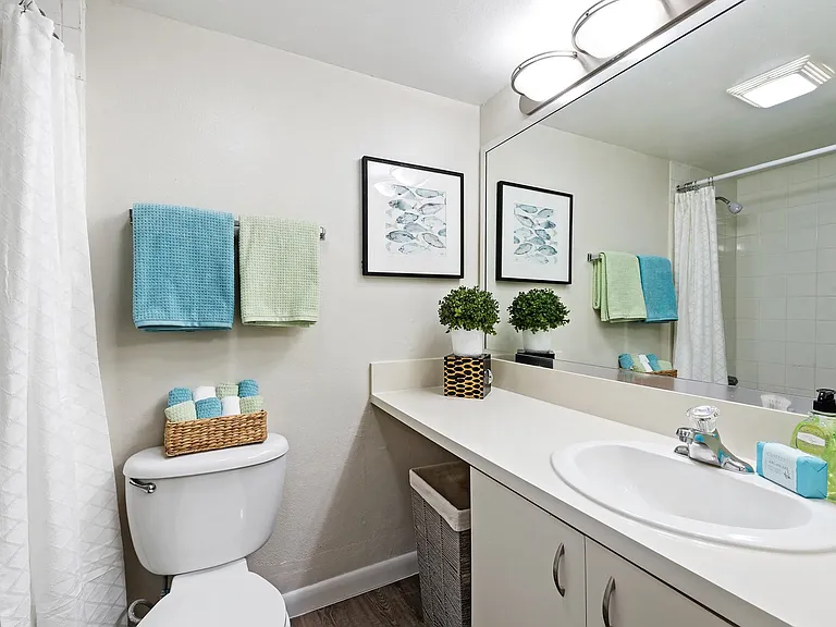 Executive Apartments — Photo 10