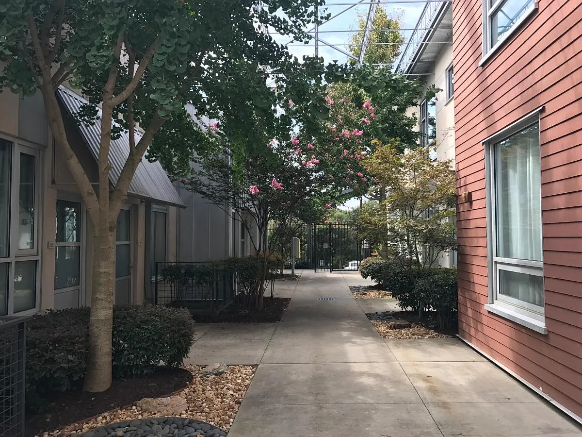 1 bed, 999 sqft, $1,800 — Photo 2
