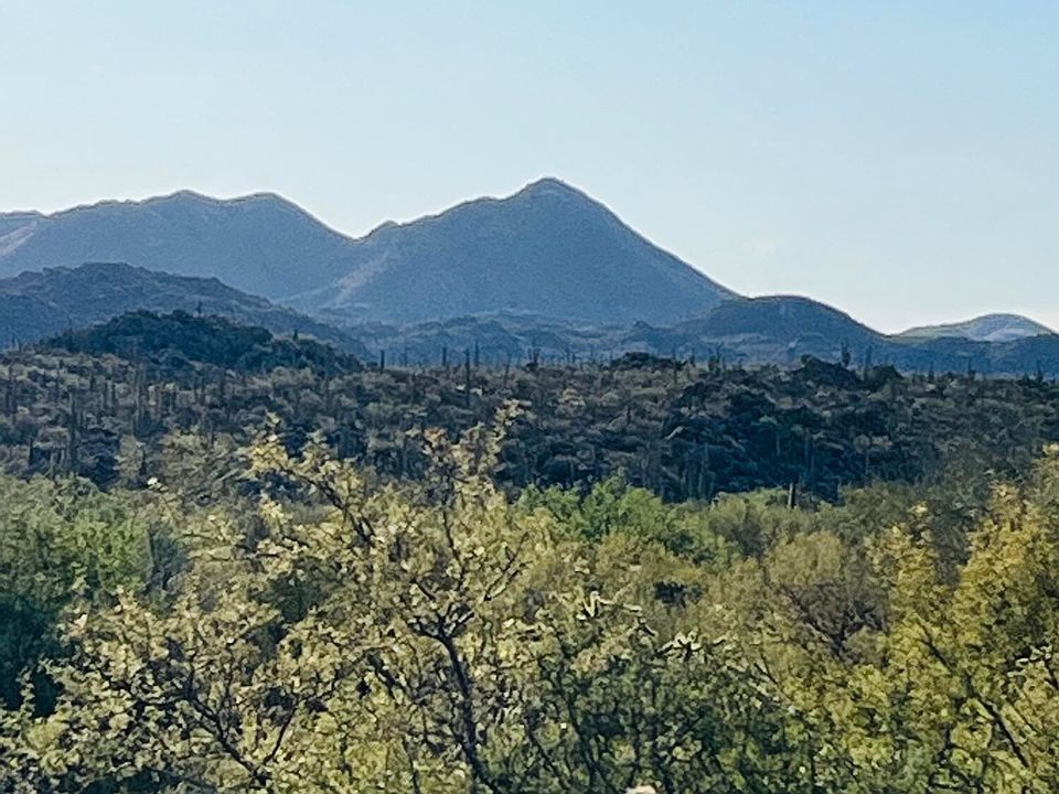 1st image of 490 E Crescent Moon Dr #66&67