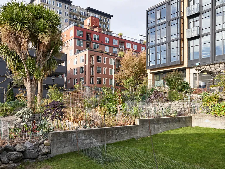 Enjoy the Multiple Parks and Green Spaces Throughout the City