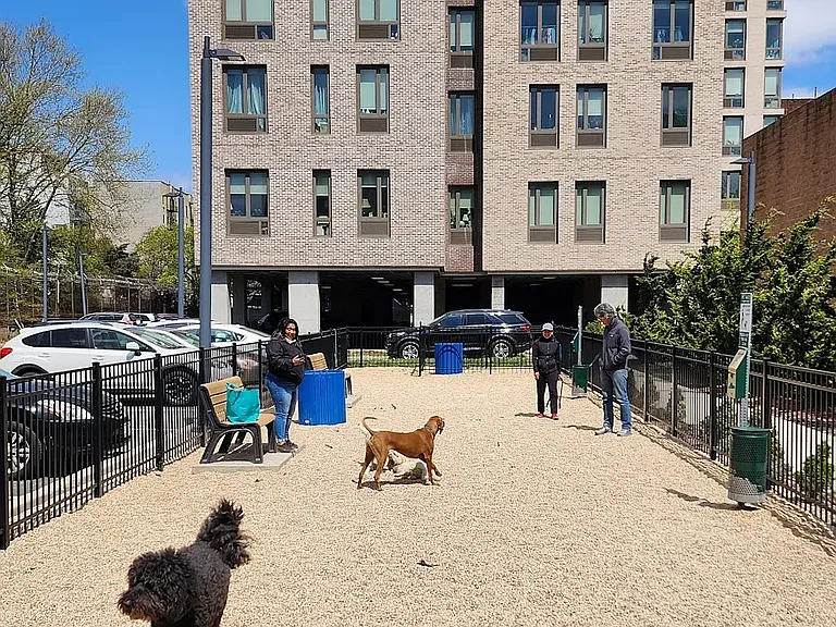626 Flatbush Ave #12H — Photo 8