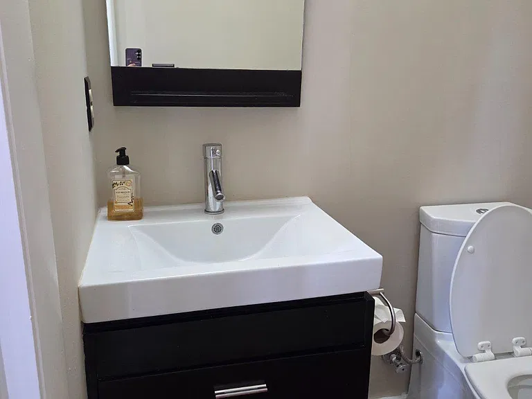 1733 Cy Ct — Photo 31