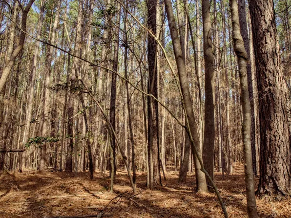 7023 Southern Trl Lot 15, Chapel Hill, NC 27516