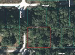 0 SE 142 Ln, Summerfield, FL 34491