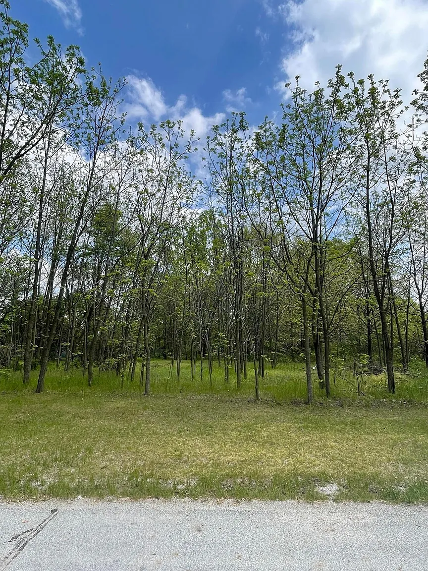 1125 N 550 E photo 1