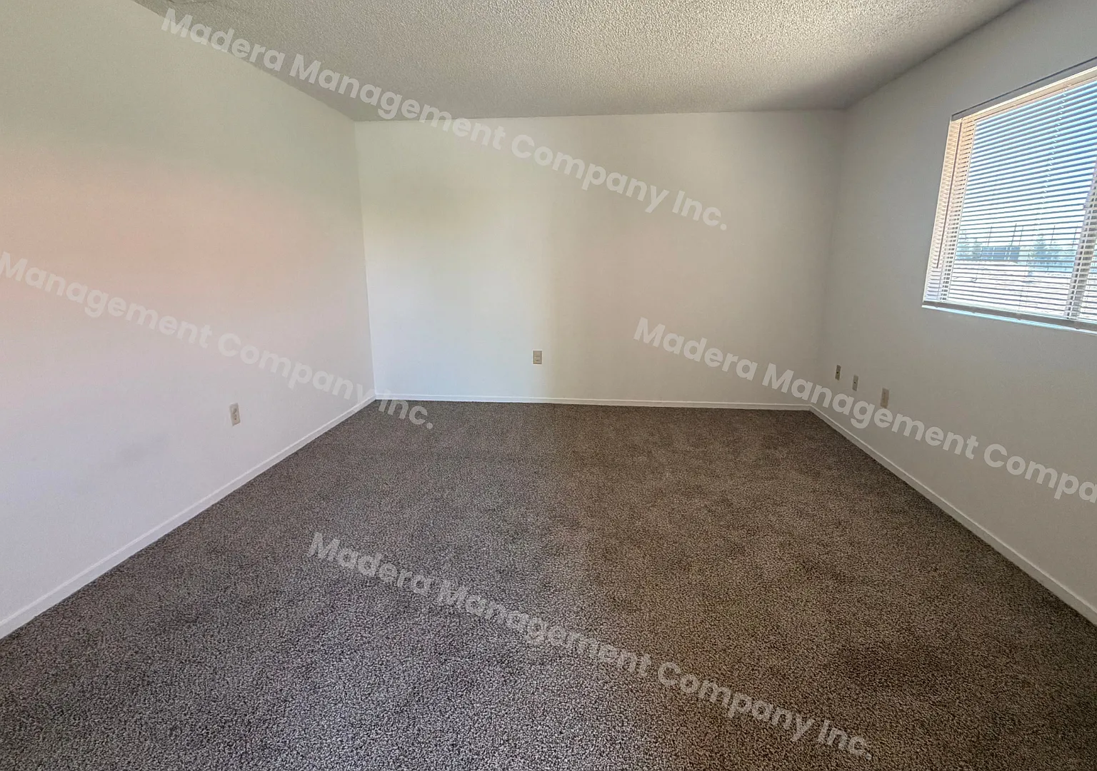 214 Stadium Road — Photo 3