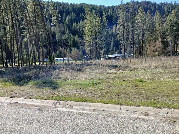 1308 N Minter Blvd, Marcus, WA 99151