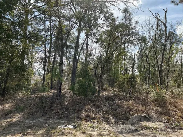 0 Locust Loop Crse #8, Ocala, FL 34472