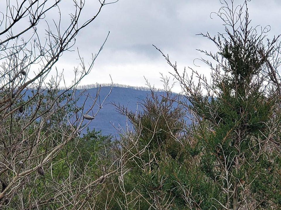 2nd image of LOT-39A Fort Valley