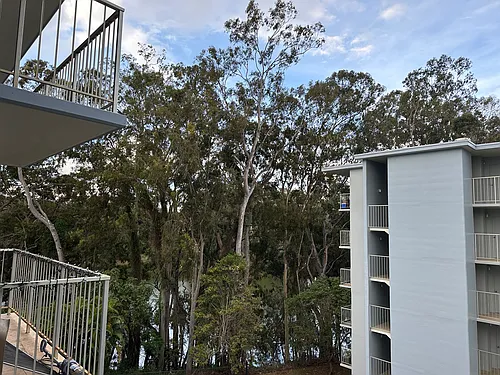 1600 Wilikina Dr Photo 1