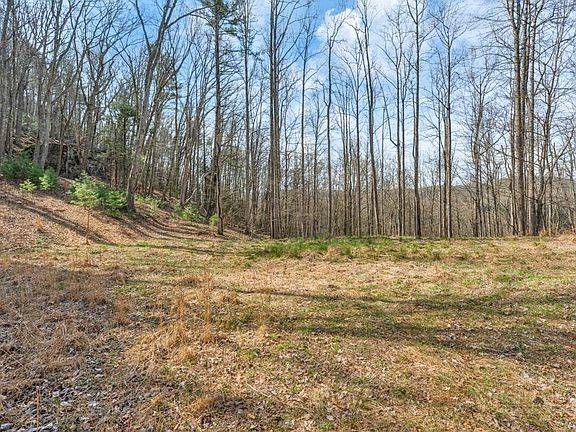 2nd image of TBD Denney Wood Road