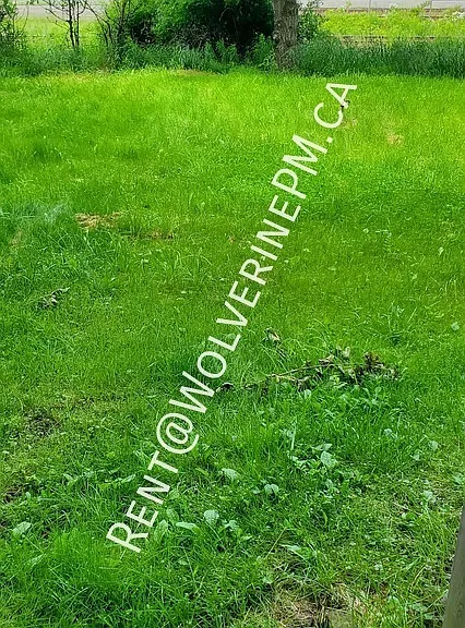 17 Duke St #1 — Photo 2