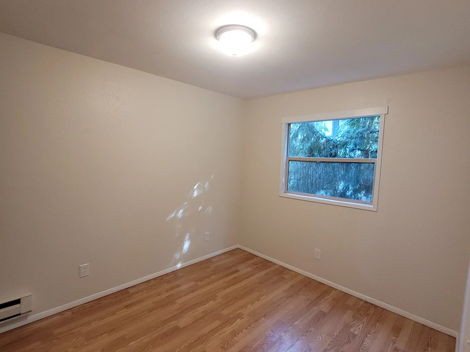 1 bed, 524 sqft, $1,500 — Photo 4