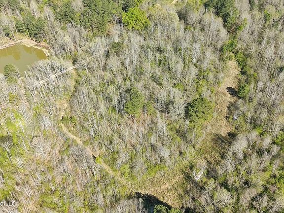 3rd image of Wells St