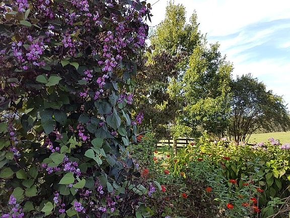 26th image of this home