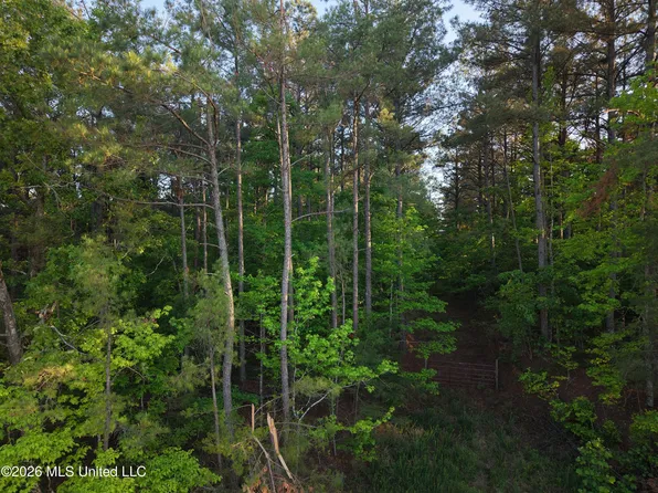 Stewart Weir Rd, Stewart, MS 39767