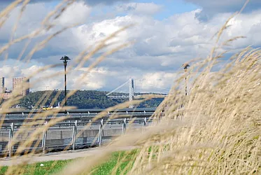 Rented by Bohemia Realty Group