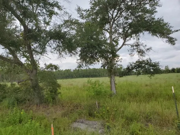 COUNTY RD 13 LOT 4, BUNNELL, FL 32110