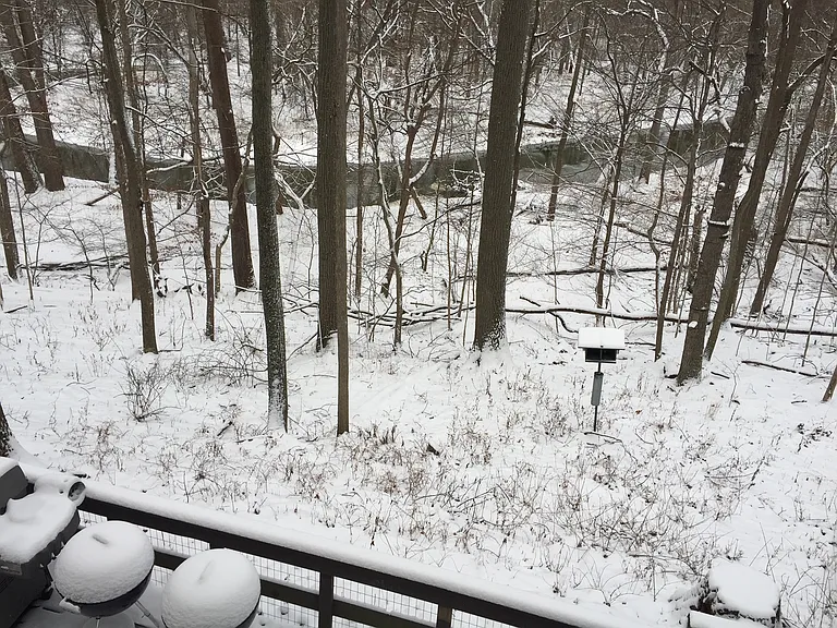 winter view from master bedroom down to Swan Creek