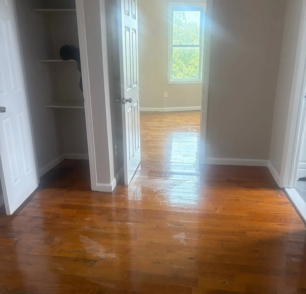 3 bed, 1000 sqft, $1,800 — Photo 3