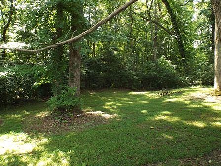 2nd image of 176 Tree Frog Ln