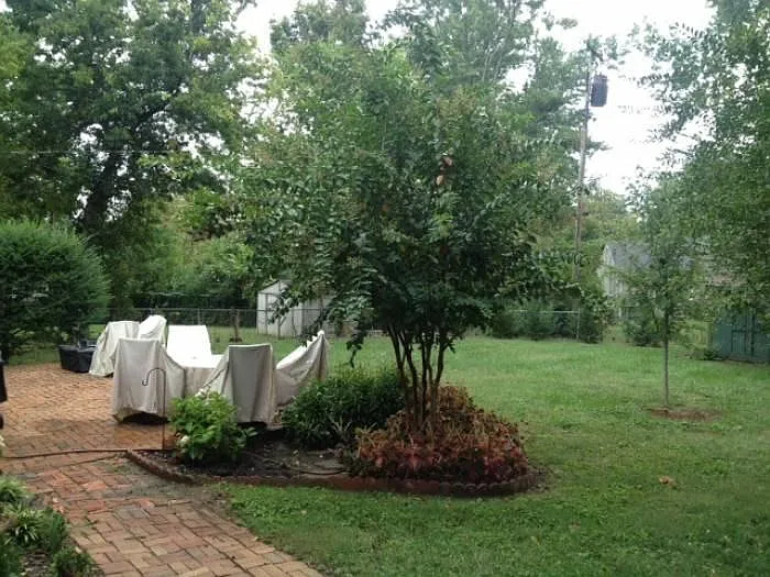 Patio / Backyard