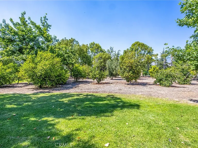 1689 Tivoli St — Photo 39