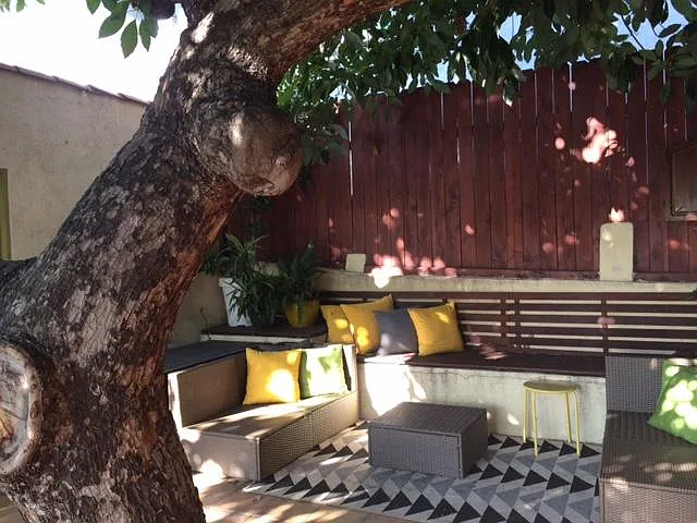 Shade from the avocado tree