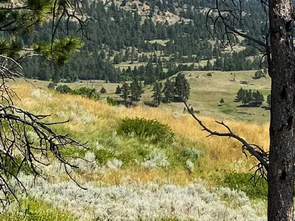 Pershing Cutoff, Ekalaka, MT 59324