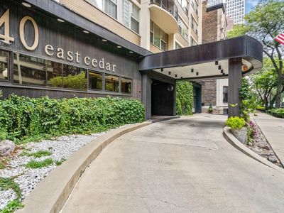40 E Cedar St APT 19A, Chicago, IL, 60611