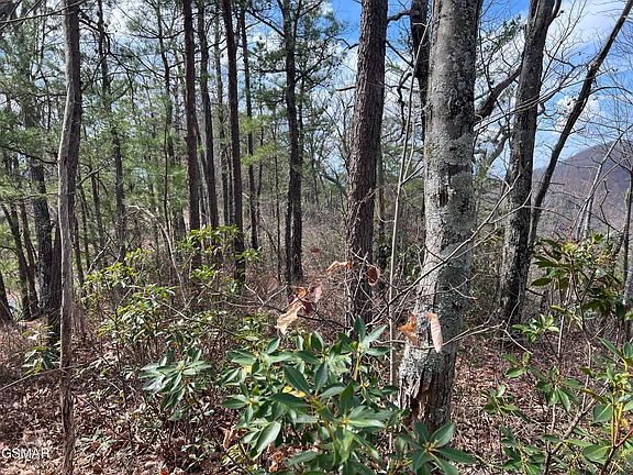 4th image of 1154 Chestnut Ridge Ct