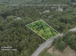 9909 Sassafras Dr, Hillsboro, MO 63050