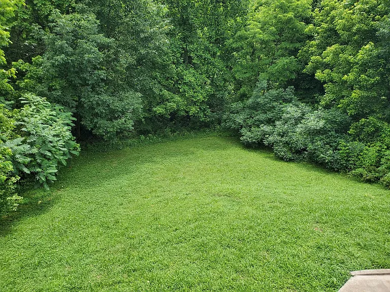 994 Bobcat Dr — Photo 31